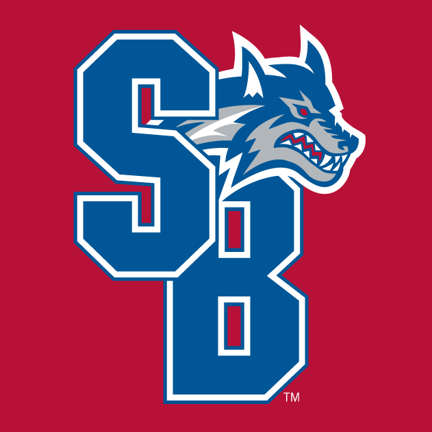 Stony Brook Seawolves 2008-Pres Alternate Logo v4 diy DTF decal sticker